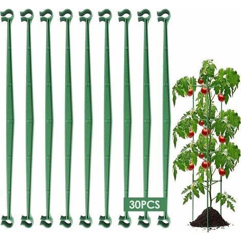 Linghhang – Packung mit 30 stabilen Pflanzenstützen aus Kunststoff – 30 cm lang – Für Tomaten, Gurken und Kletterpflanzen (1/5)