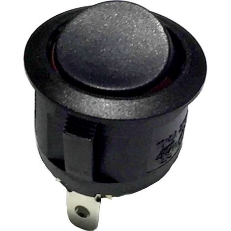 TRU COMPONENTS 701365 Wippschalter R13-112A-02 BB 250 V/AC 6 A 1 x Aus/Ein rastend 1 St. (1/2)