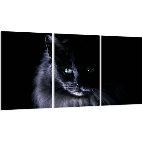 Glasschutzplatte für Herd 3x30x52 (1/5)
