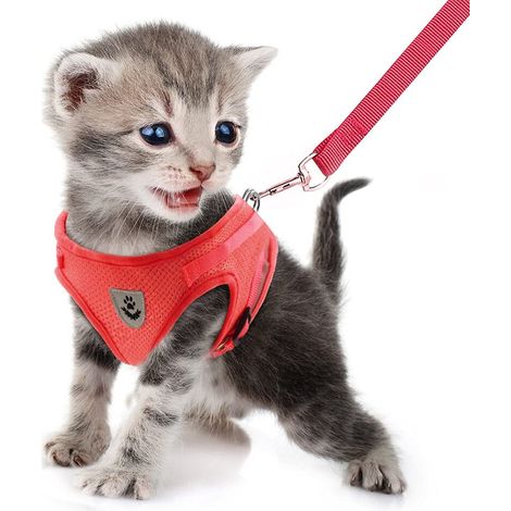 Harnais pour chat et petit chien avec laisse, gilet réglable en maille respirante, harnais anti-fugue réfléchissant pour promenade (1/5)