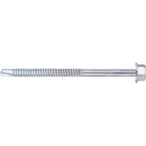 100 x VITE P/LAMIERA AUTOPERFORANTE TECC 6,3X100MM ZN AP6