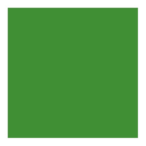 5KG-vert-Peinture temporaire naturelle pour sol extérieur (1kg/5m2) Natura