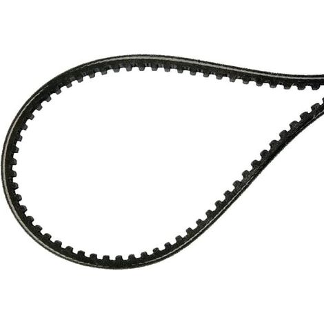 Courroie trapézoïdale AS-MOTOR E11800ASM (1/2)