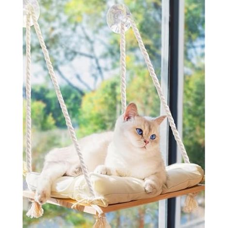Perchoir de fenêtre pour chat – Hamac pour fenêtre – Siège en bois massif et ventouses solides – Lit et meubles pour chats à l'intérieur – étagère de fenêtre suspendue pour chats d'intérieur de petite (1/4)