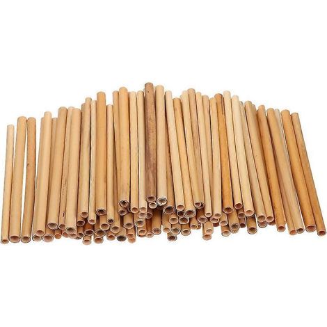 100 tubes de roseau pour abris à abeilles maçonnes : tubes de nidification remplaçables de 20 cm, doublures de rechange pour apiculteurs d’extérieur, jardins, hôtels à abeilles à faire soi-même, ruche (1/5)