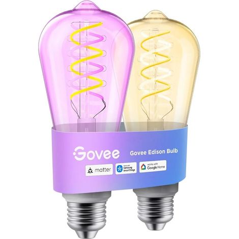 Ampoule Intelligente Edison E27, RGBWW Lampe ST64, 500lm, Lot de 2 Compatible avec Matter, 16 Millions de Couleurs, Ampoule à Filament de Style Vintage (1/5)