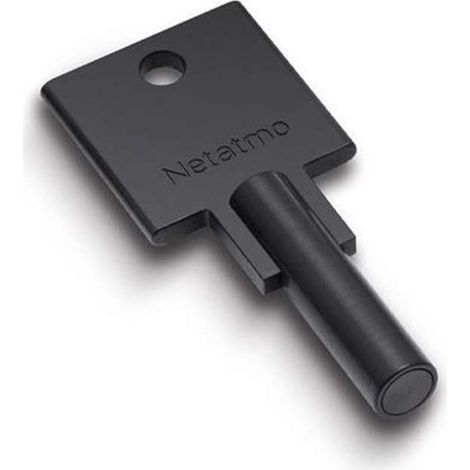 Netatmo Zusätzlicher Schlüssel Silber für intelligente Schlösser (1/3)