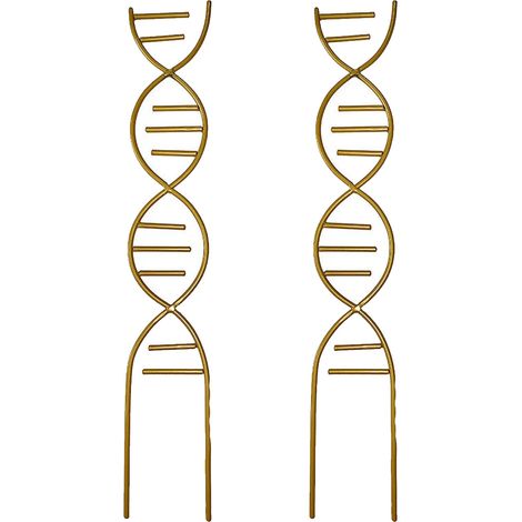 1 support pour plantes grimpantes, structure métallique dorée, 44 × 8,8 × 8,8 cm, pour pots intérieurs et extérieurs (1/5)