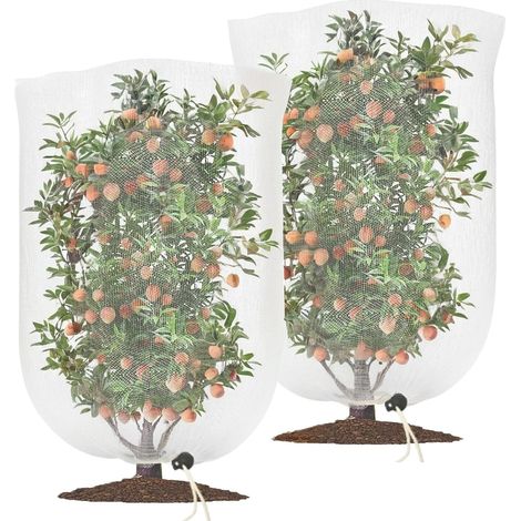 Rete protettiva per piante, 2 pezzi Rete anti-insetti con cordoncino, Rete per verdure, Rete protettiva per uccelli, Protegge le piante dai danni degli uccelli (100 x 150 cm) (1/5)