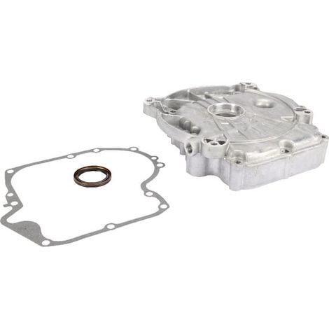 Carter de protection BRIGGS ET STRATTON 697106