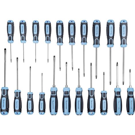 Set de tournevis QUANTOOL, 21 pièces (1/5)