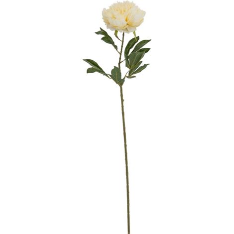 Large Buttermilk Double Peony Stem Artificial Flower - Plastic - L19 x W19 x H95 cm - Cream