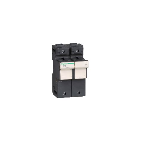 Portafusibile TeSys DF 125A - fusibile 22x58 2P - DF222