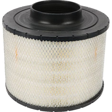 Unidad de filtro de aire DONALDSON B125005GJ (1/2)