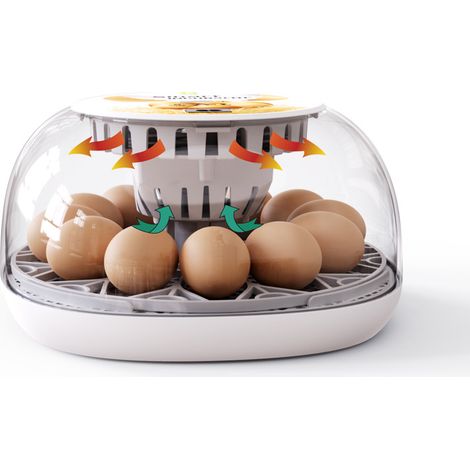12 pièces d'équipement domestique d'incubation et d'élevage de poussins, incubateur, incubateur d'œufs, incubateur de cailles