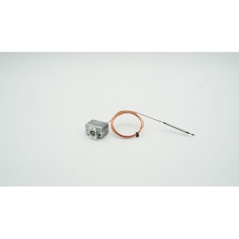 BWT Temperaturwächter für Adsorber und Bewazon Anlagen, 50-300 Grad C, 1-406033