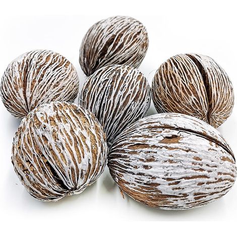 Mintola Ball schneebedeckt - exotische getrocknete Kräuter - 6 Stück.