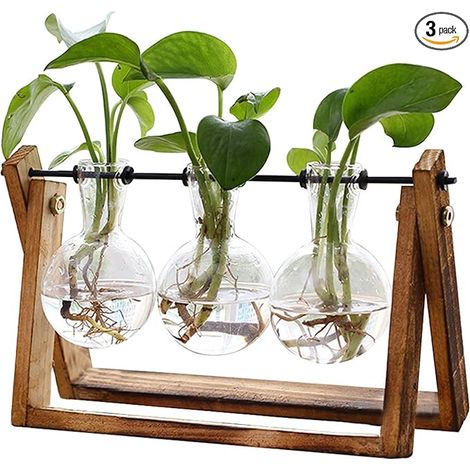 Pots en verre avec supports en bois, supports rotatifs en métal, décoration hydroponique vintage pour bureau, maison, jardin ou bureau - Vases à 3 bulbes