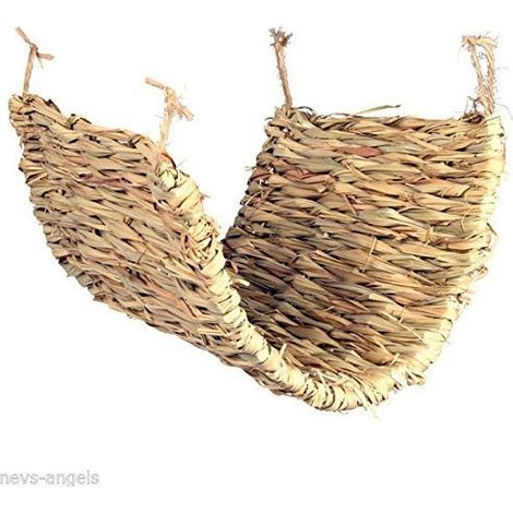 TAPIS D'HERBE P. DEGUES, RATS 40 × 28 CM ZOO TX-61156