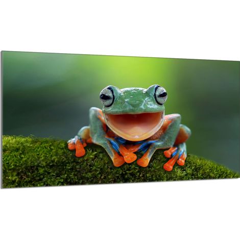 Glasschutzplatte für den Herd 90x52 Frosch (1/5)