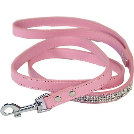 La nouvelle laisse de promenade pour chien (1 pièce) (1/3)