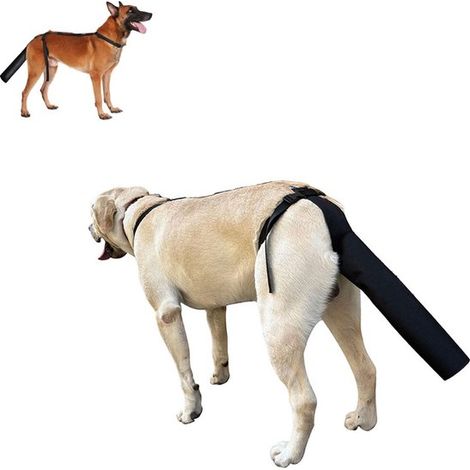 Pettorina per cani con protezione per la coda, copertura regolabile, impedisce di leccarsi la ferita, borsa trasportino per cani nera con protezione per la coda, taglia M, nera (1/5)