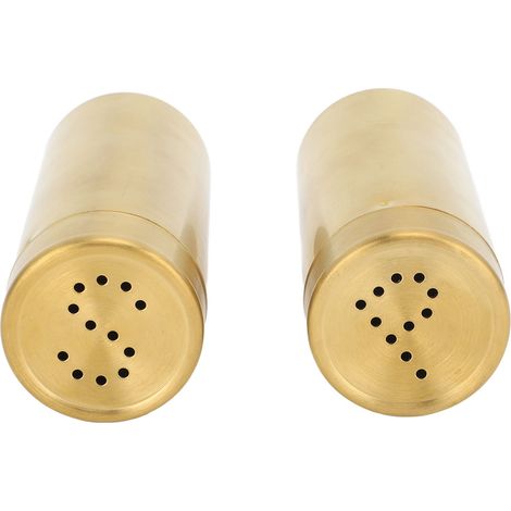 2-teiliges Salz- und Pfefferstreuer-Set aus Edelstahl 304 für Küche, Camping, Grillen im Freien, Gold (1/5)