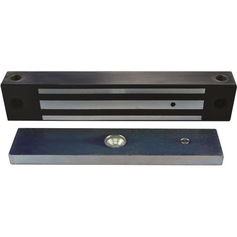 Ventouse EM applique IP 67 acier inox 800 lbs 12/24V DC Contact Hall (1/3)