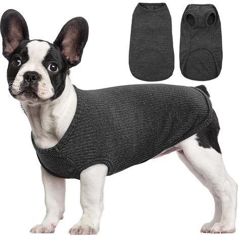 T-Shirt et Pull Rayé Chien - Sweat Fin et Vêtement Chat - Chihuahua (Noir M) (1/5)