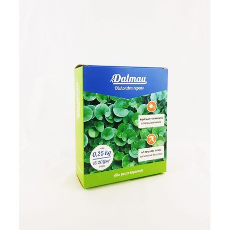 Semillas de Césped  Dichondra - 250 g (1/4)