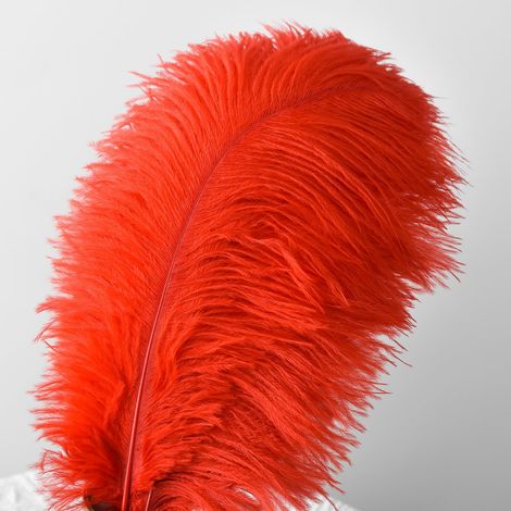 10 pièces de plumes d'autruche, Plumes Grand Pour la maison Décoration de mariage, Bricolage, Plumes d'autruche Vase (Rouge) (1/5)