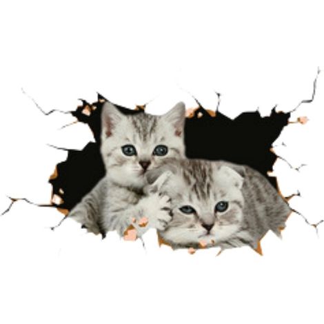 Autocollants 3D Créatifs pour Voiture avec Deux Petits Chats (Lot de 2) - Décorez Votre Véhicule avec Style (1/3)