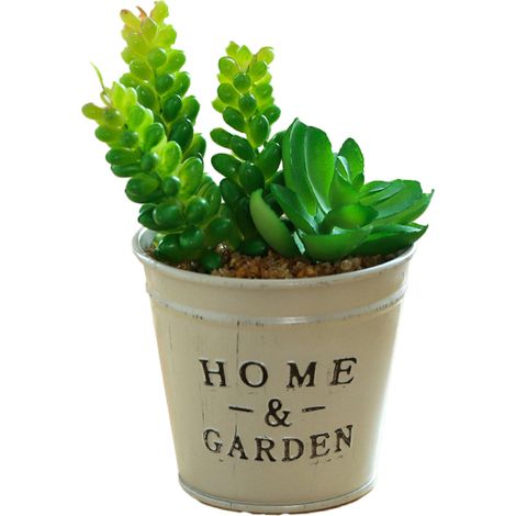 Plantes Succulentes Artificielles - Pots En Métal Galvanisé - Décoration Intérieure Bureau Maison - Lot De 1 (1/5)