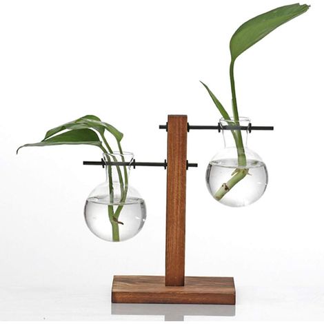 Terrarium hydroponique de bureau rétro avec socle en bois et vase sphérique en verre, idéal pour la culture en eau, la propagation des plantes et la décoration de la maison et du jardin. (1/5)