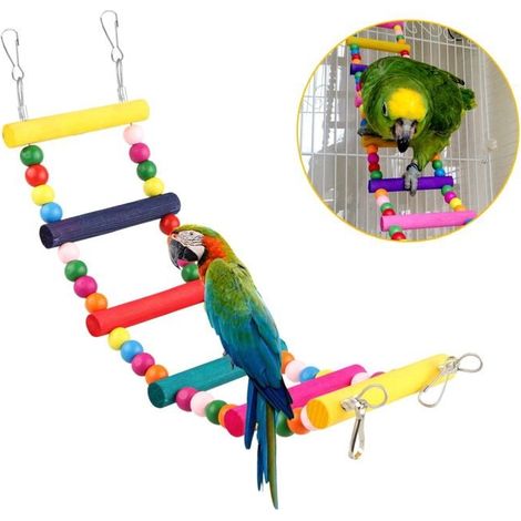 Accessoires pour cages oiseaux perchoir color plateforme chelle et hamac pour petits oiseaux et perroquets Label (1/4)