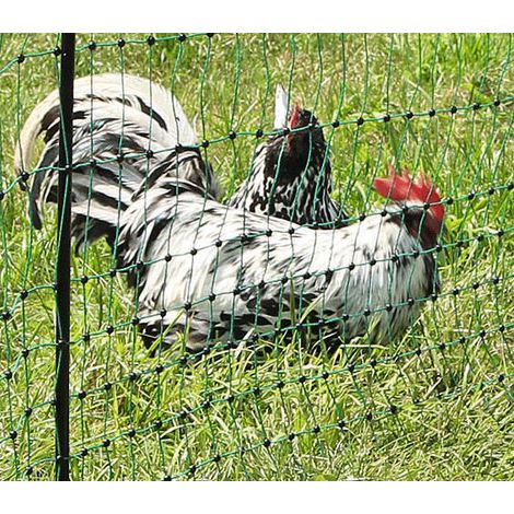 Direct Filet – Enclos poulailler amovible 25m – Filet robuste 1.06m de haut – 8 piquets PVC inclus – Mailles serrées pour sécurité volaille (1/5)