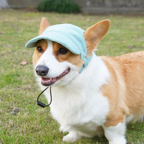 Gorro para perro, Capucha ajustable para el sol para cachorros (verde, XL) (1/5)