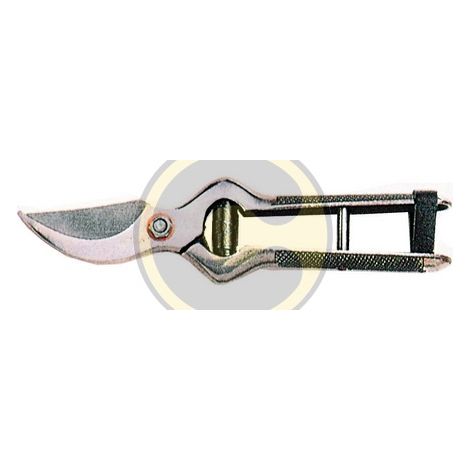 FORBICI COGLIAGRUMI cm 19 (1/2)