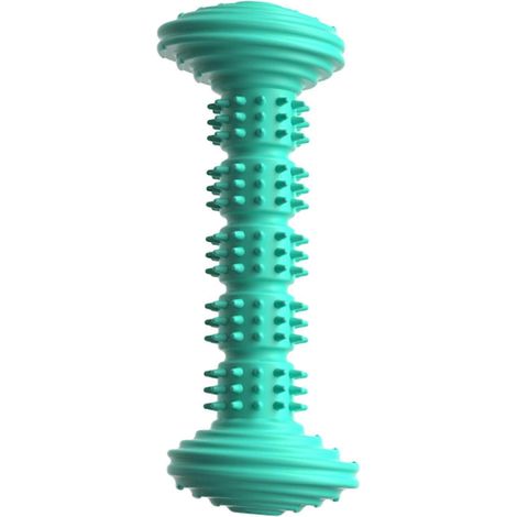 Spiky TPR chien jouet à macher – nettoyage des dents et Durable – pour chiots dentition macheurs intensifs Oral Health – Lac Bleu (1/5)