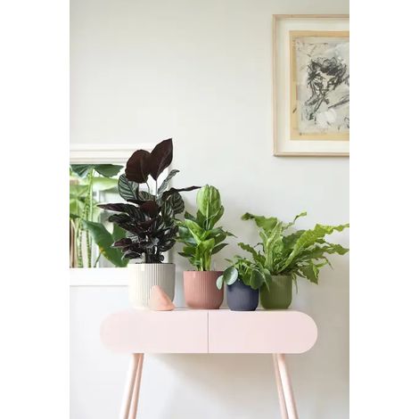 Vaso Elho Vibes Fold Round 25 cm – Eleganza Moderna per la Tua Casa - Colore: Rosa