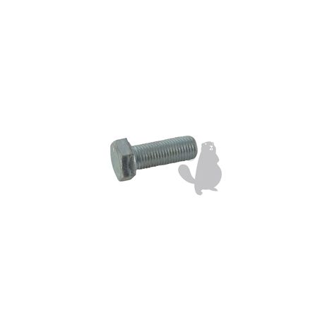 Vis De Lame Adaptable Pour Noma - L: 25mm, ø: 3/8- 24unf