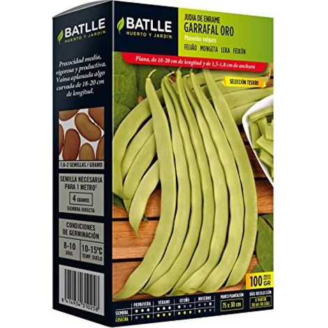 Semences horticoles - Haricot nain Garrafal Oro sel. Tesoro (100g)
