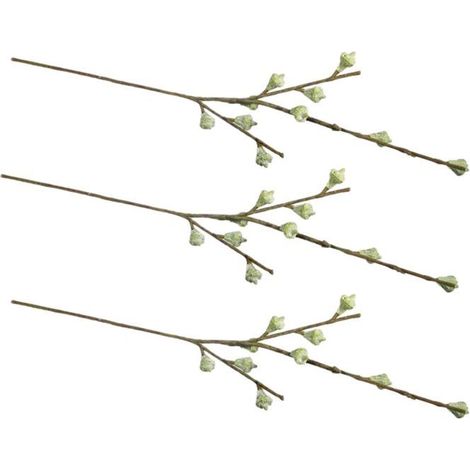 3 branches de fruits d'eucalyptus 40 cm