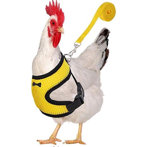Harnais de poulet réglable avec laisse, gilet respirant pour poule, 3,6 pieds, ceinture assortie, corde de traction d'entraînement en plein air pour animaux de compagnie, canard, oie, jaune S (1/5)