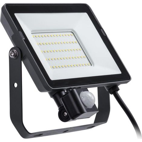 Proiettore Philips ProjectLine esterno nero 50 W LED