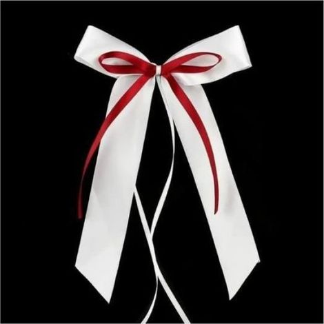 100 pcs blanc Rouge en satin pour antennesNoeud Ruban Mariage Noeud Voiture Mariage DECORATION DE VOITURE (1/4)