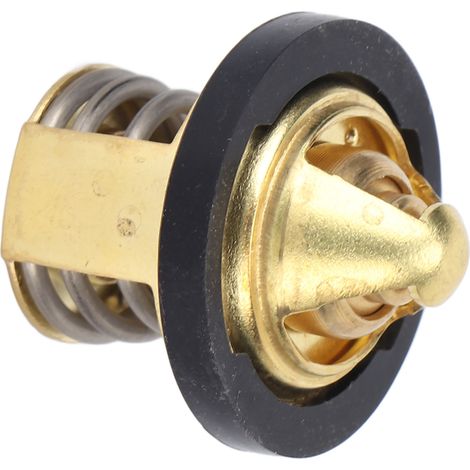 Kühlmittelthermostat aus Edelstahl für CH250 CF250 ATV-Roller, kompatibler Ersatz für 250-cm³-CH/CF-Motoren (1/5)