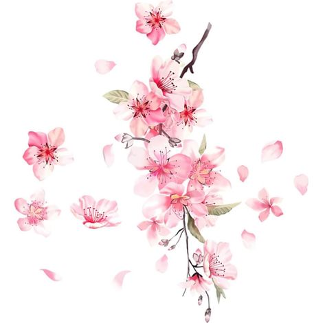 pour portière de voiture motif fleurs de cerisier papier