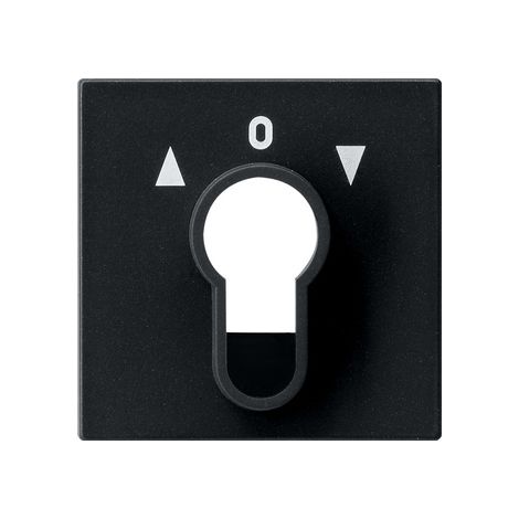 Gira Copr. Interruttore a chiave/pulsante System 55 Nero m [0664005], 0664 005