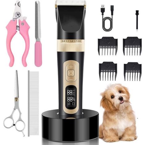 Tondeuse Chien Professionnelle Electrique Silencieuse Rechargeable Sans Fil Rasoir Lame Détachable et Lavable Kits avec 4 Peignes (1/4)